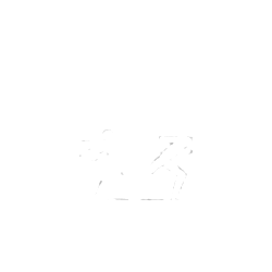 Clube de Atletismo de Avintes.png
